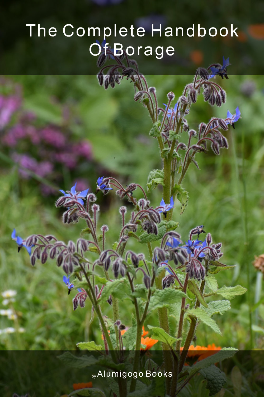 Cover of The Complete Handbook of Borage