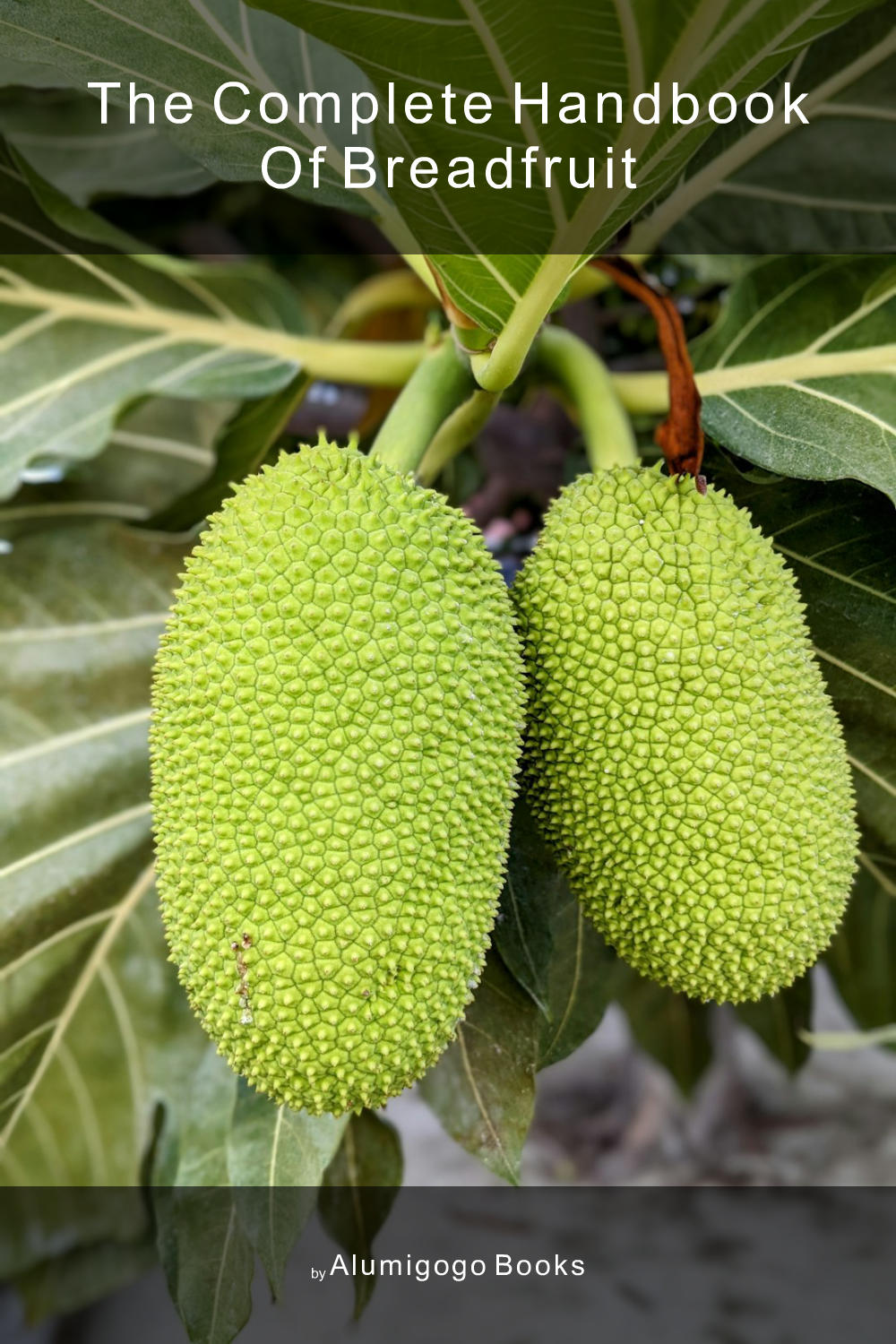 Cover of The Complete Handbook of Breadfruit