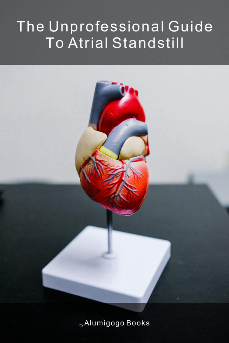Cover of The Unprofessional Guide to atrial standstill