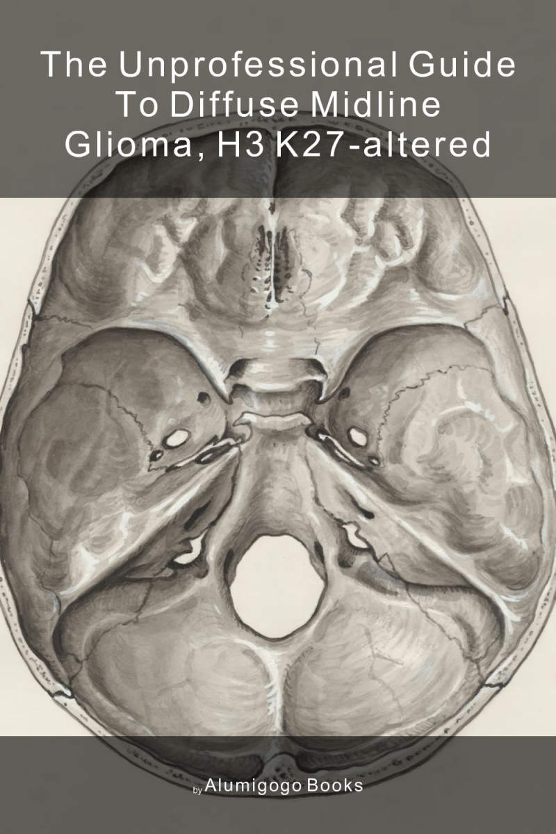 Cover of The Unprofessional Guide to diffuse midline glioma, H3 K27-altered