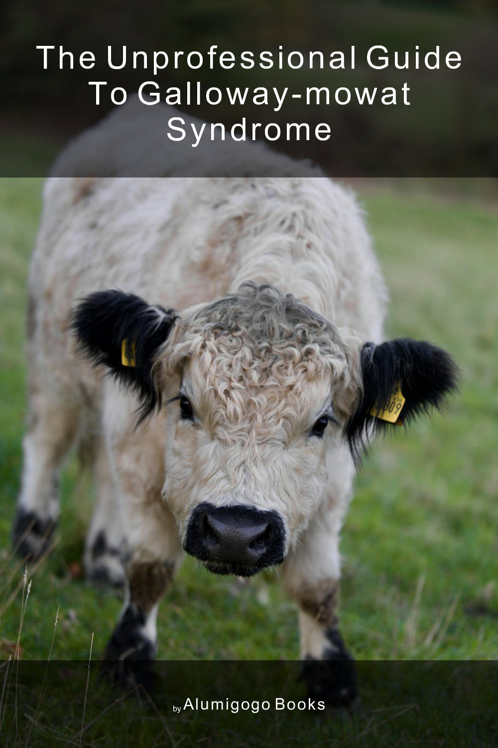 Cover of The Unprofessional Guide to Galloway-Mowat syndrome