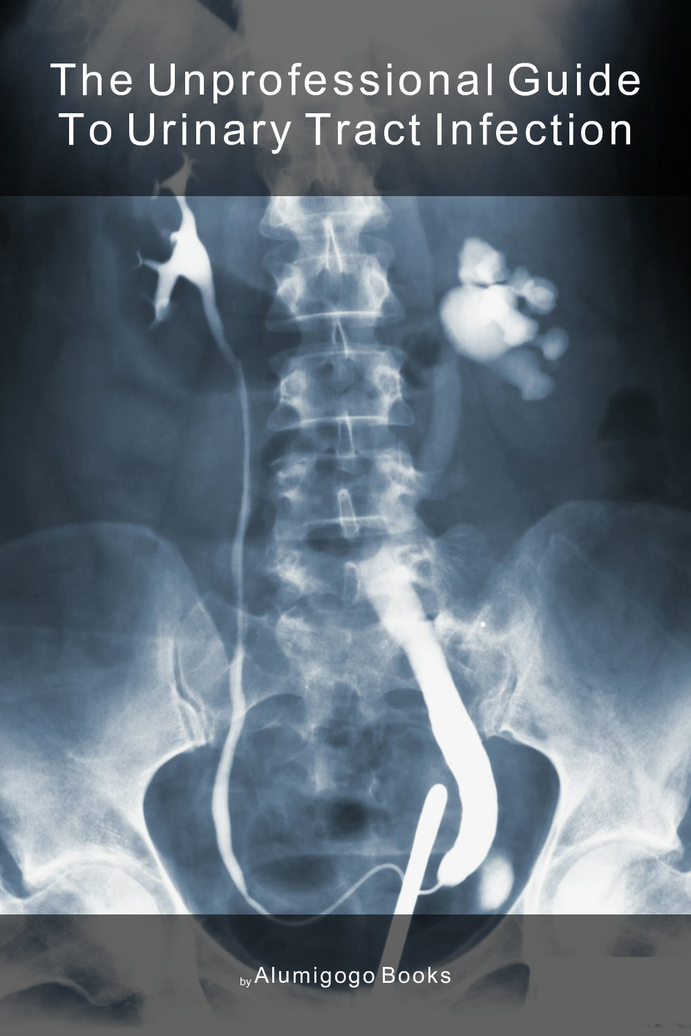 Cover of The Unprofessional Guide to urinary tract infection