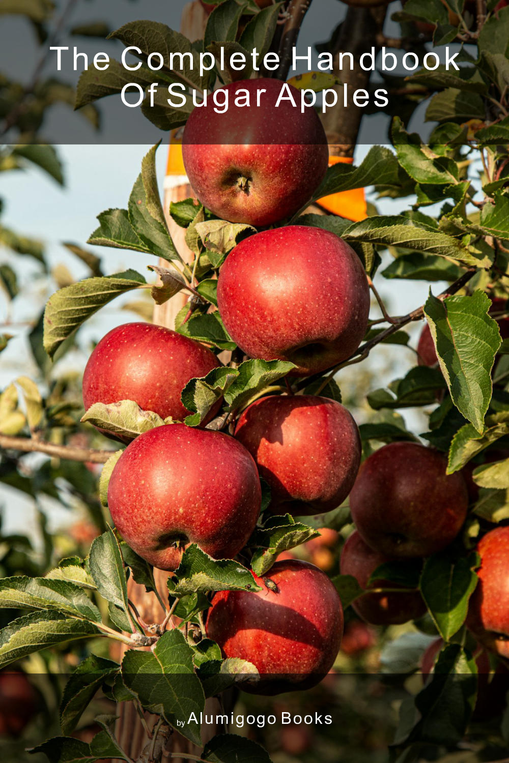 Cover of The Complete Handbook of Sugar Apples