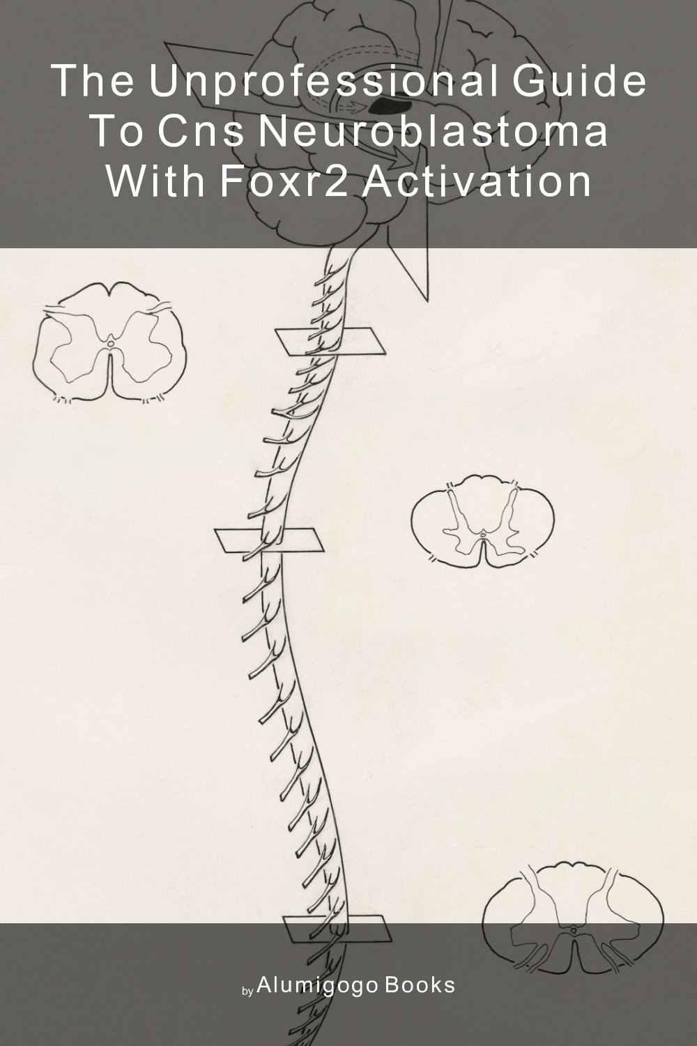 Cover of The Unprofessional Guide to CNS neuroblastoma with FOXR2 activation