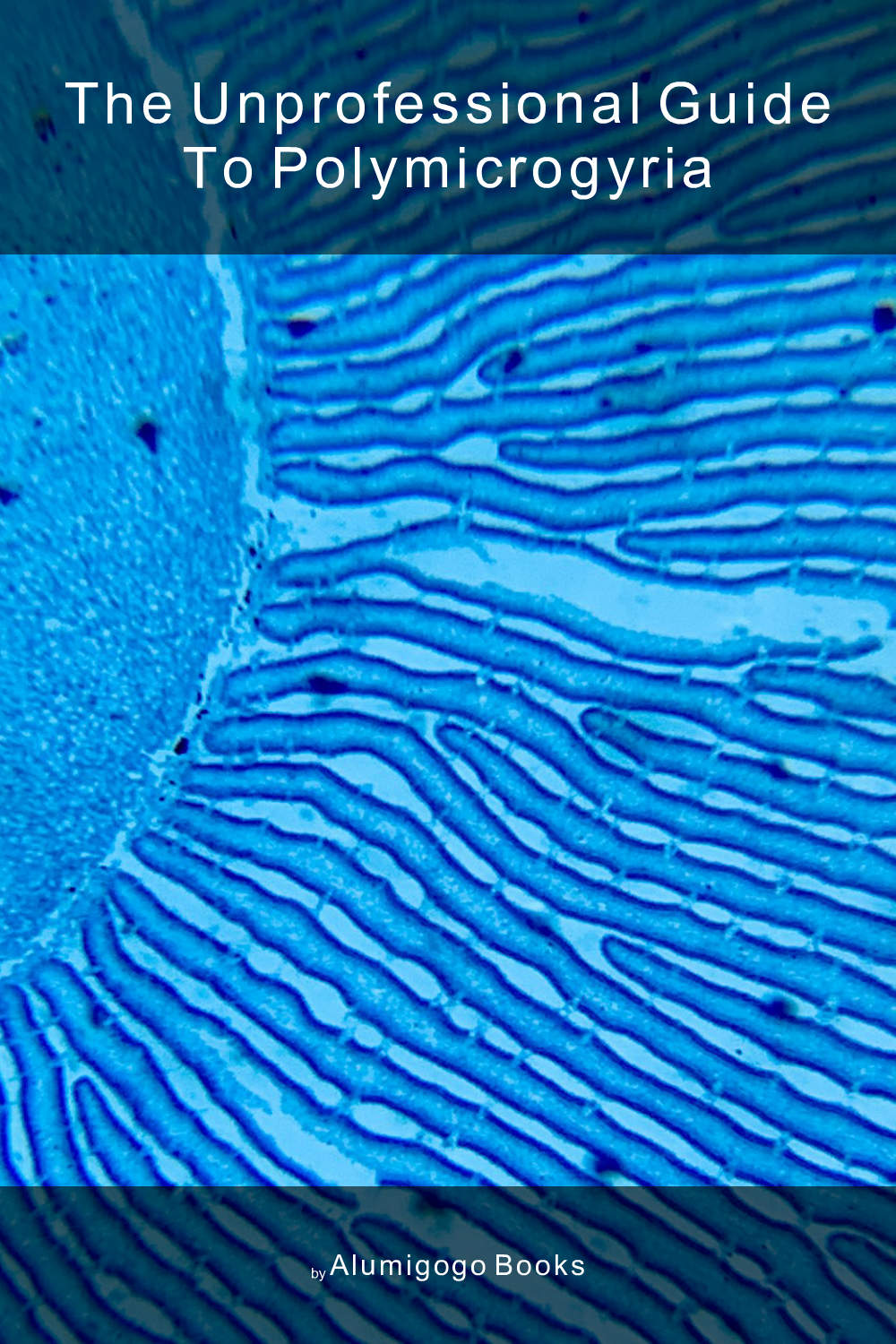 Cover of The Unprofessional Guide to polymicrogyria