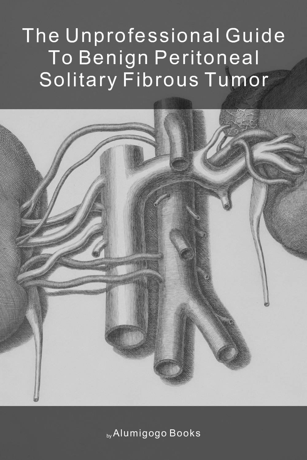 Cover of The Unprofessional Guide to benign peritoneal solitary fibrous tumor