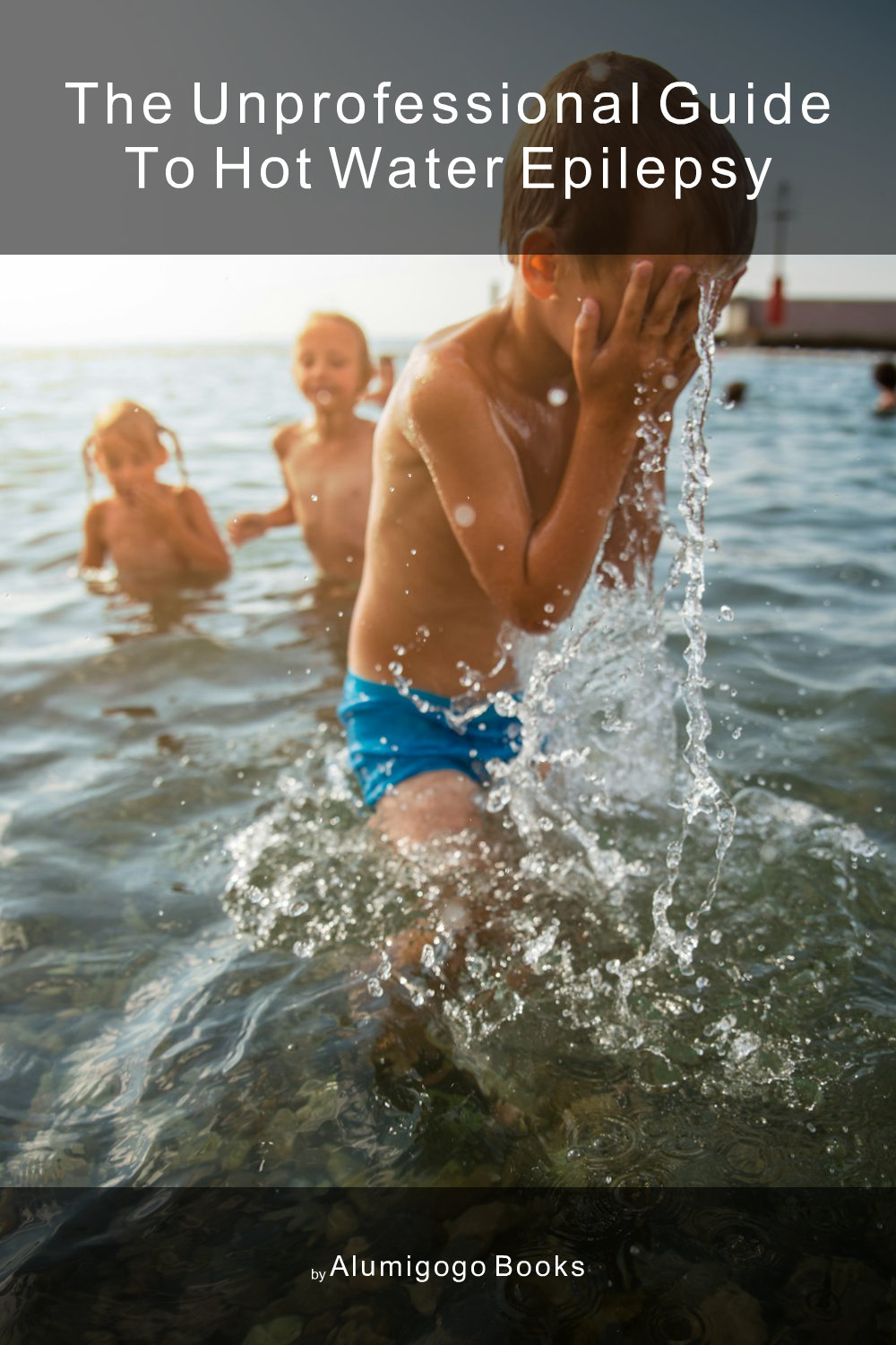 Cover of The Unprofessional Guide to hot water epilepsy