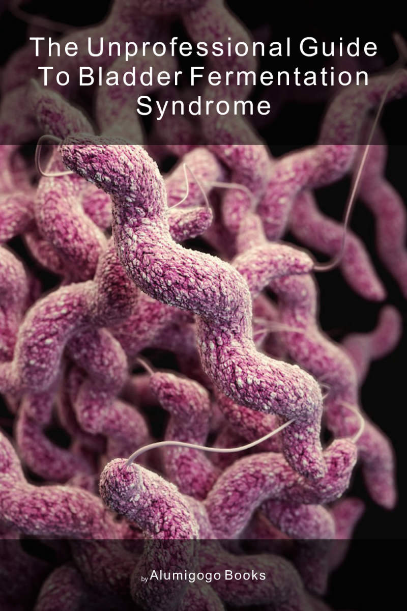 Cover of The Unprofessional Guide to bladder fermentation syndrome