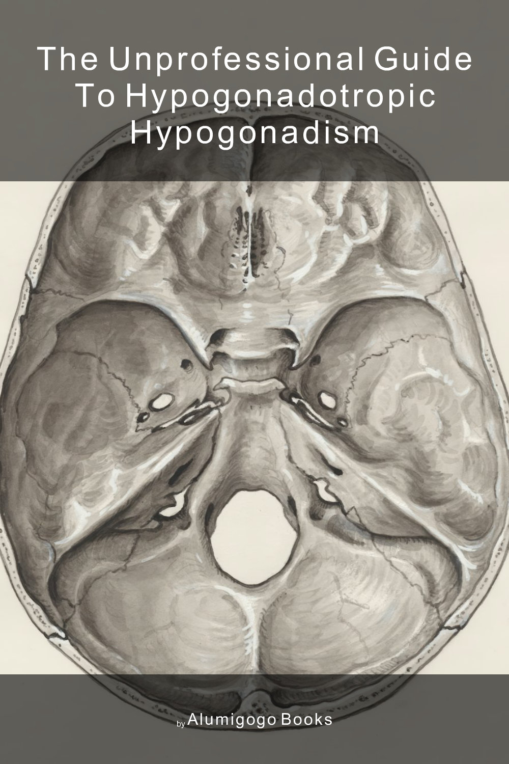 Cover of The Unprofessional Guide to hypogonadotropic hypogonadism