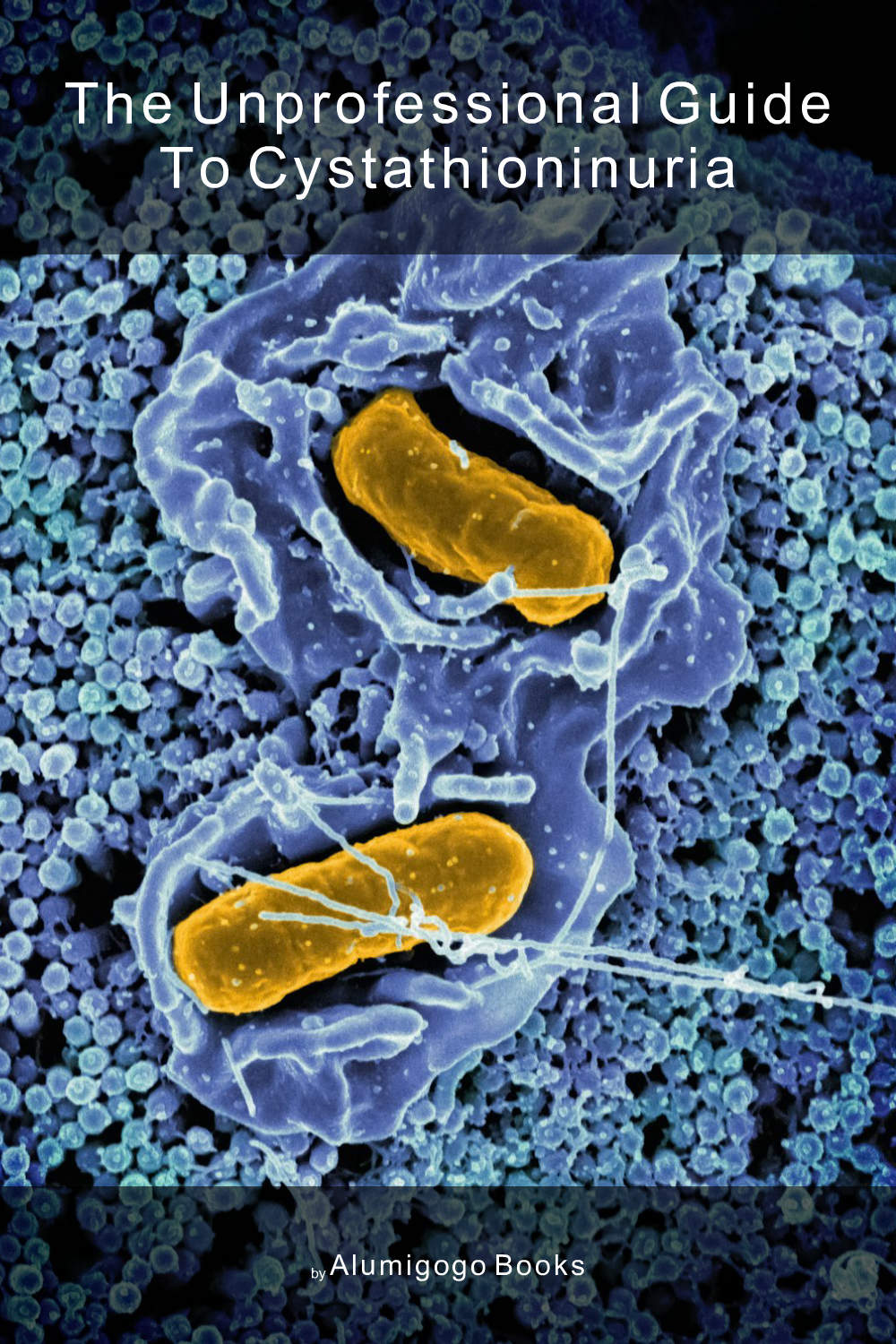 Cover of The Unprofessional Guide to cystathioninuria