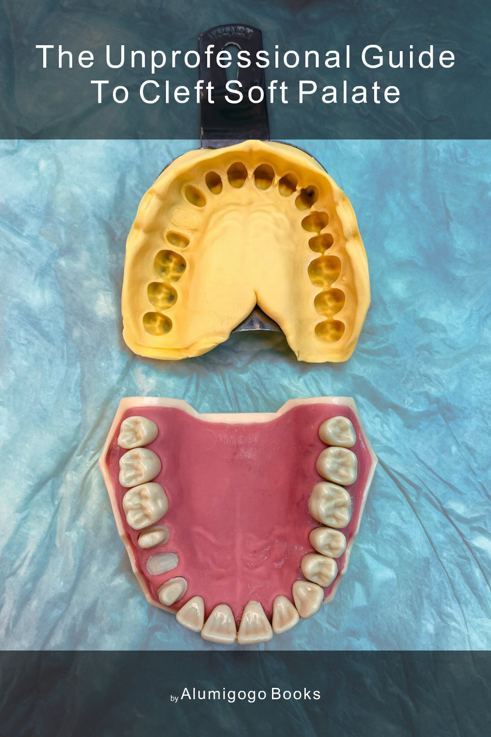 Cover of The Unprofessional Guide to cleft soft palate