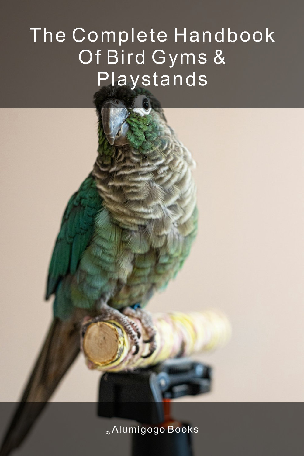 Cover of The Complete Handbook of Bird Gyms & Playstands