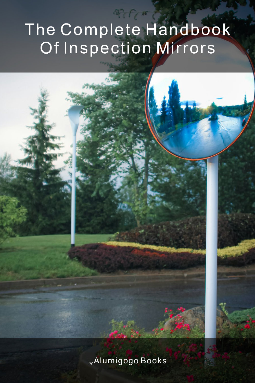Cover of The Complete Handbook of Inspection Mirrors