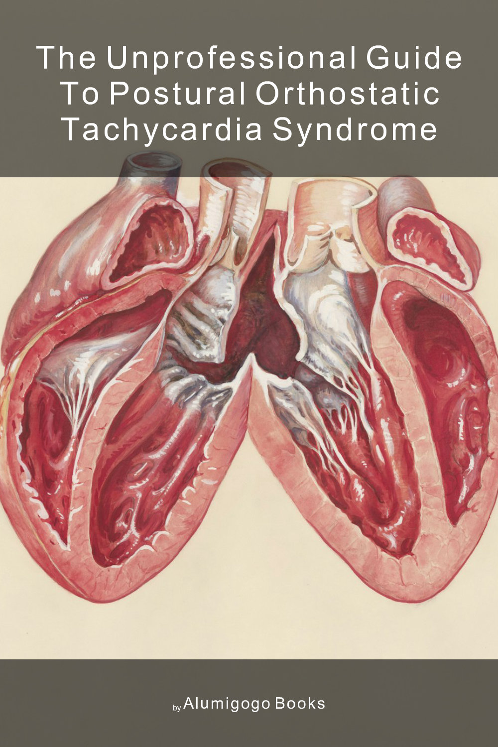 Cover of The Unprofessional Guide to postural orthostatic tachycardia syndrome