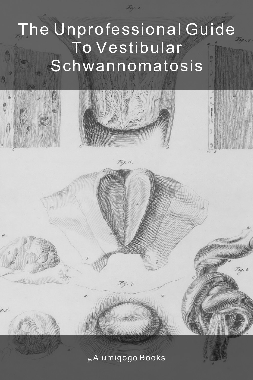 Cover of The Unprofessional Guide to vestibular schwannomatosis