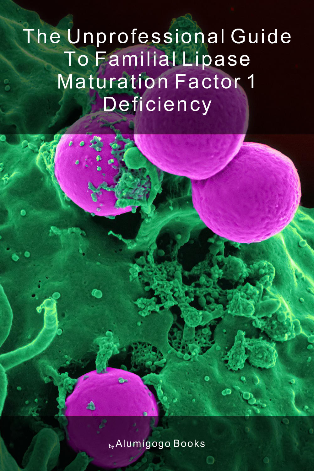 Cover of The Unprofessional Guide to familial lipase maturation factor 1 deficiency