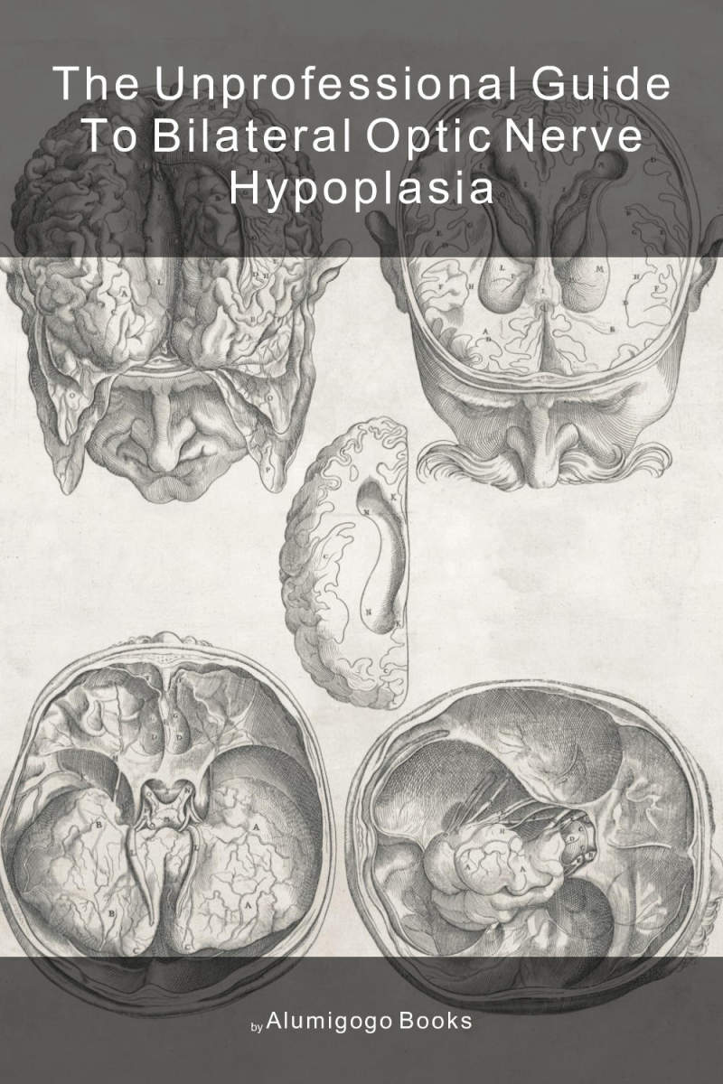 Cover of The Unprofessional Guide to bilateral optic nerve hypoplasia