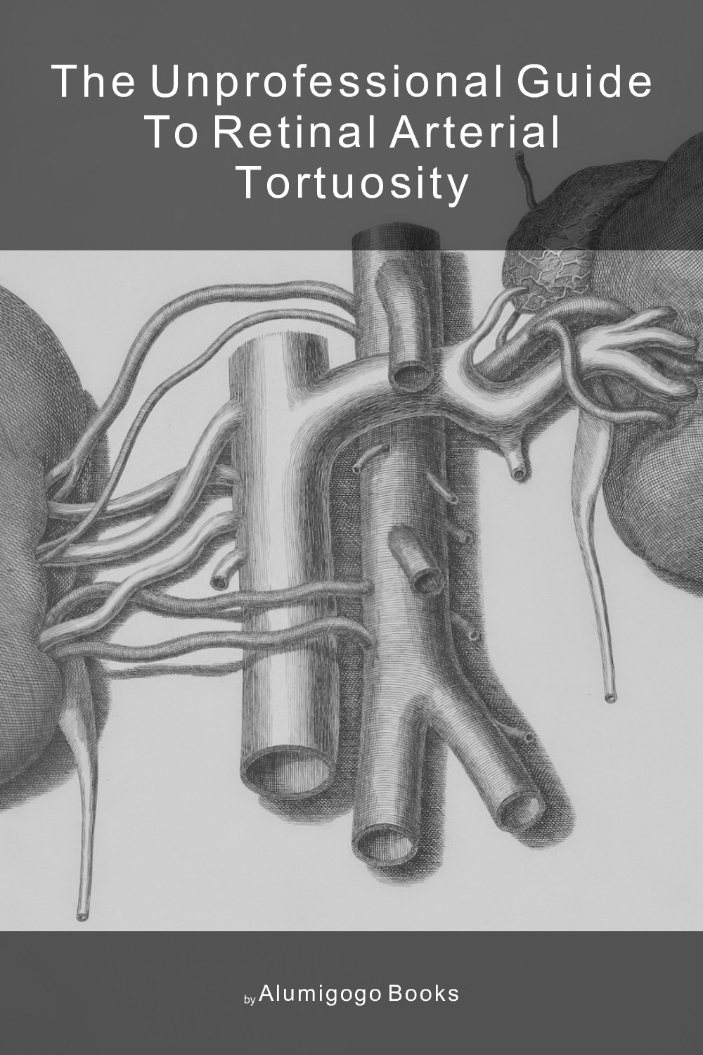 Cover of The Unprofessional Guide to retinal arterial tortuosity