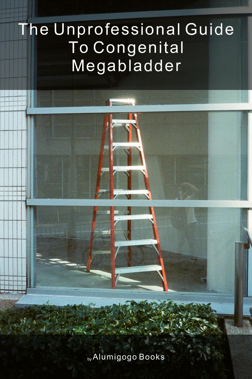 Cover of The Unprofessional Guide to congenital megabladder