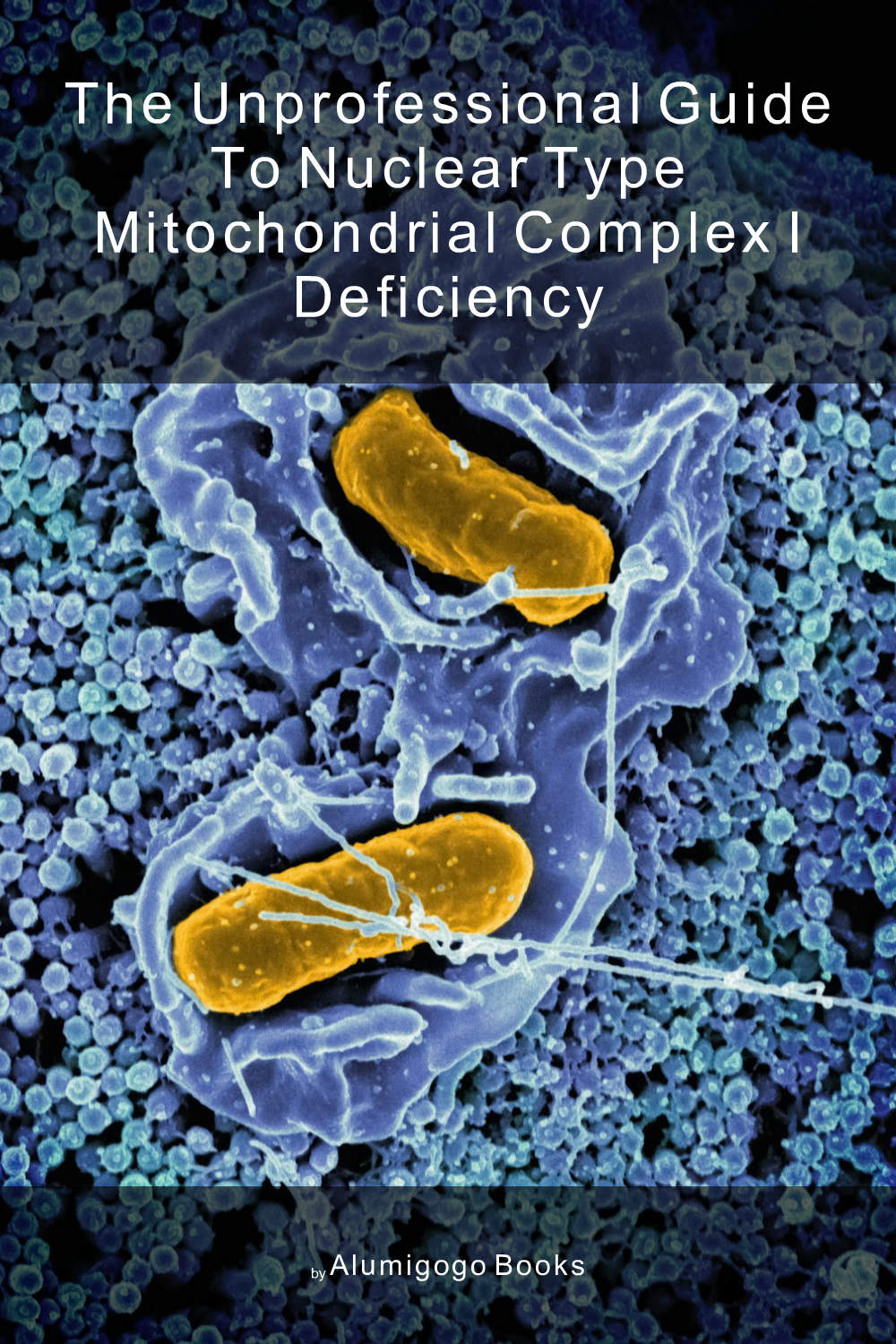Cover of The Unprofessional Guide to nuclear type mitochondrial complex I deficiency