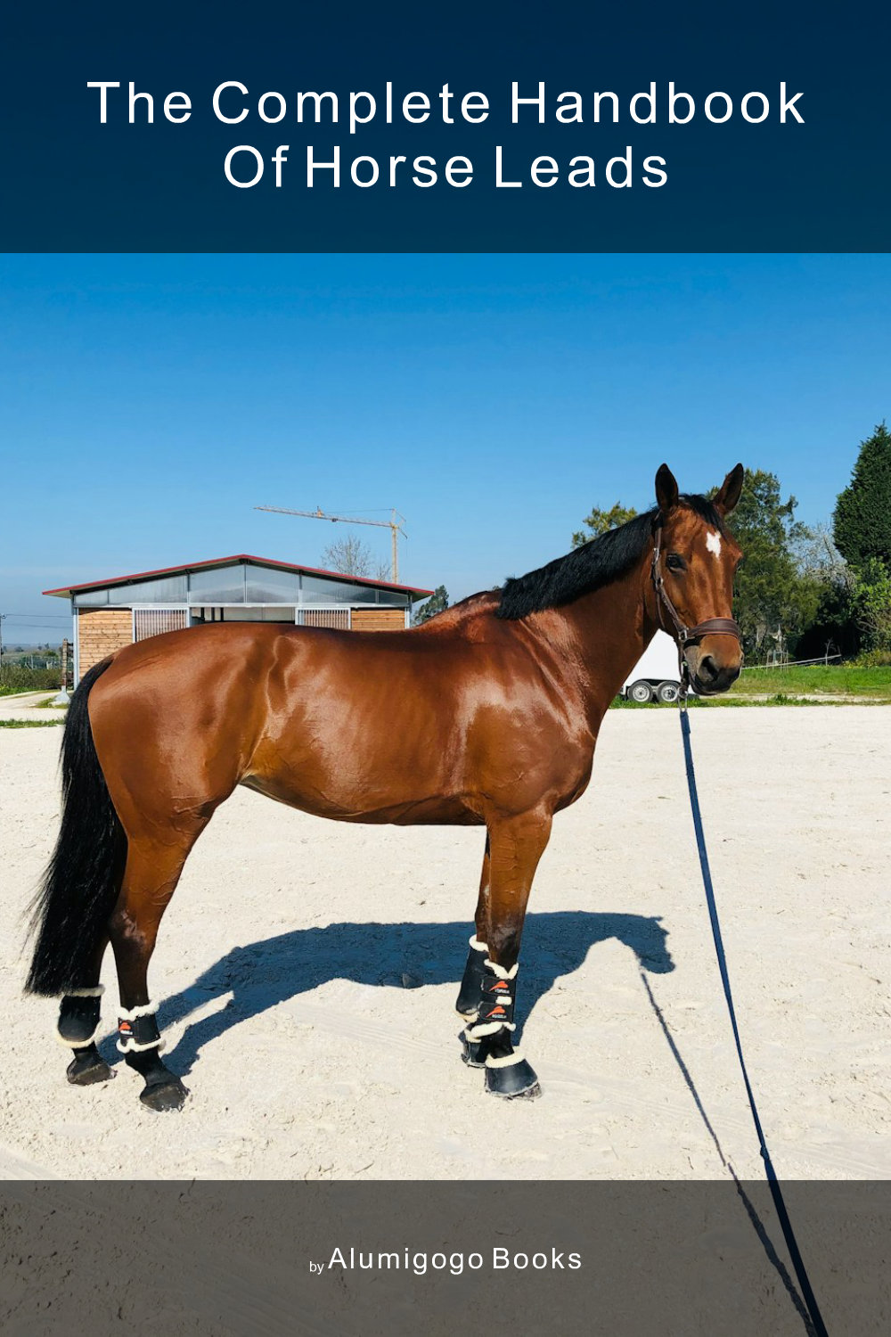 Cover of The Complete Handbook of Horse Leads