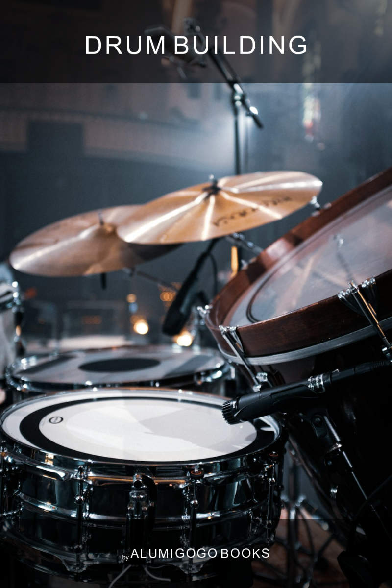 Cover of Drum Building