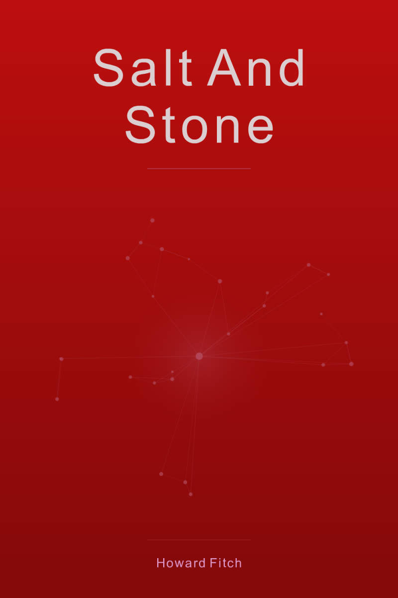 Cover of Salt and Stone
