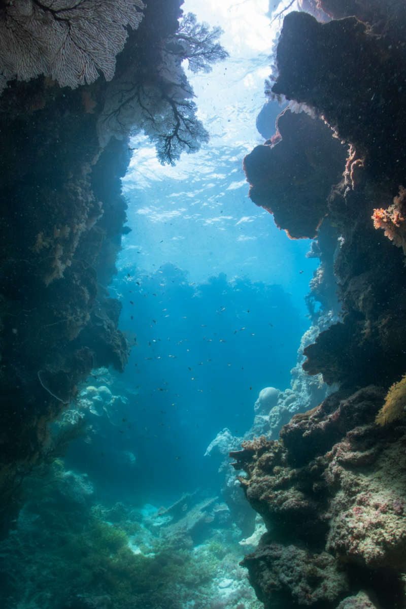 Wall Poster - Ancient Ruins in the Great Barrier Reef