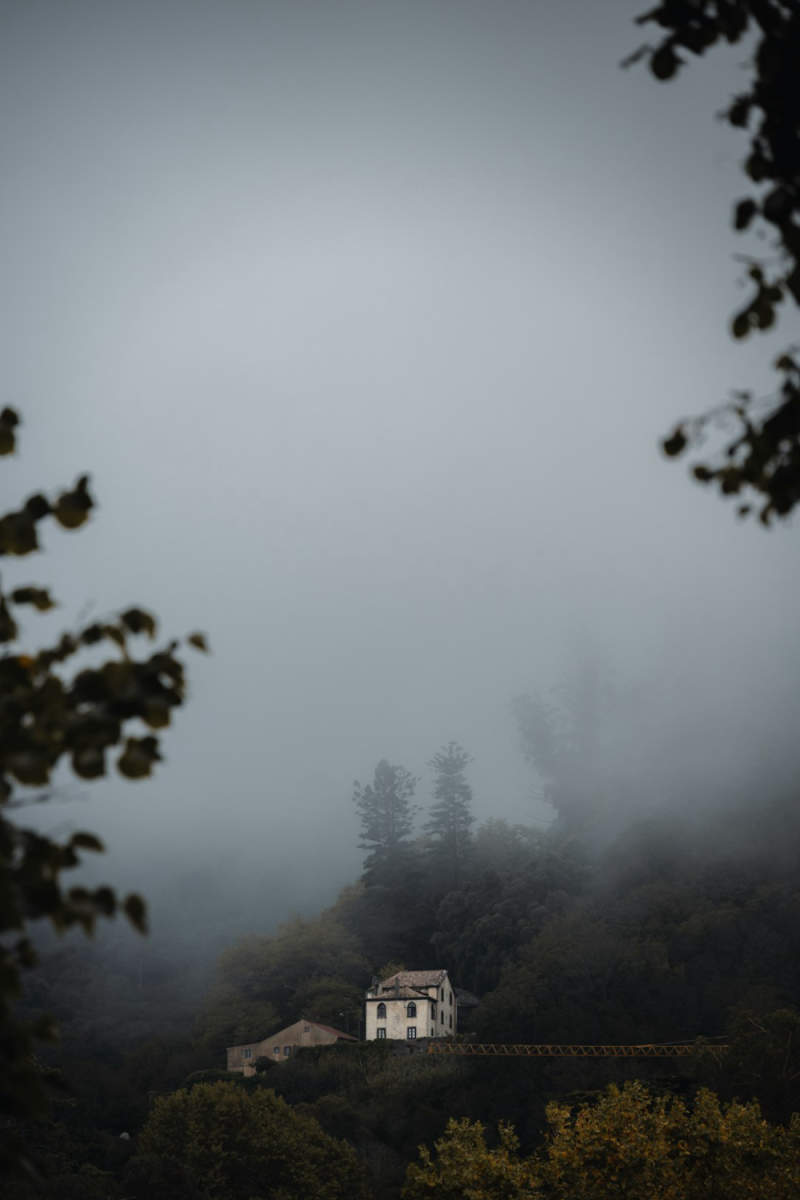 Wall Poster - Autumn Forest in Portugal