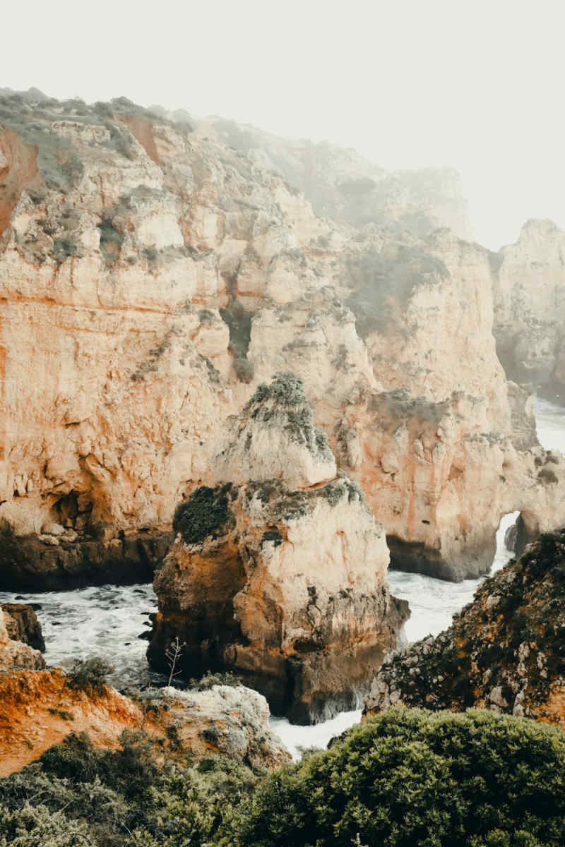 Wall Poster - Autumn Forest in the Algarve