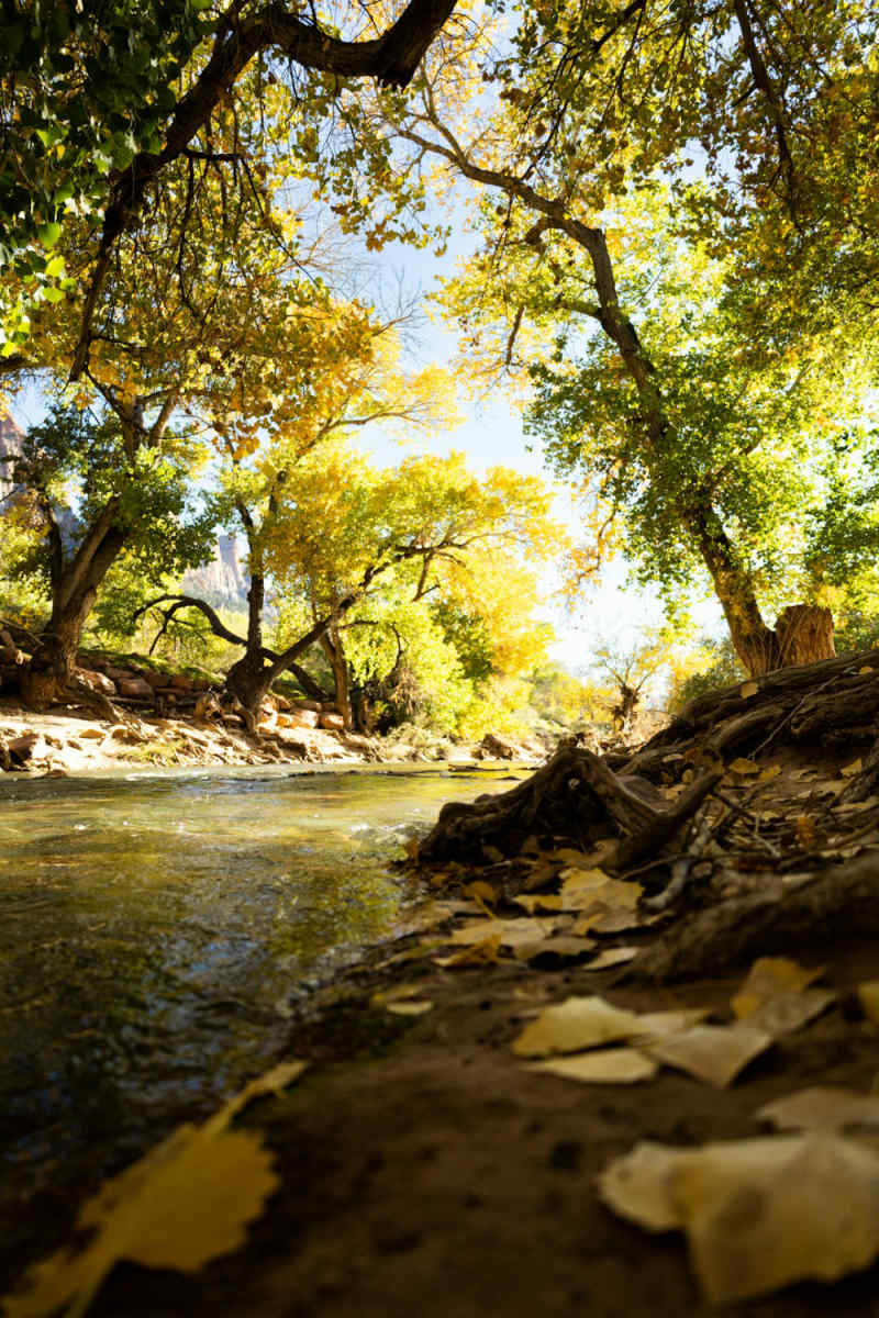 Wall Poster - Beach in Zion National Park