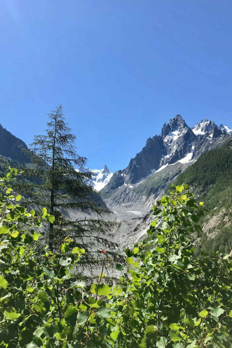 Wall Poster - Blossom Orchard in Chamonix