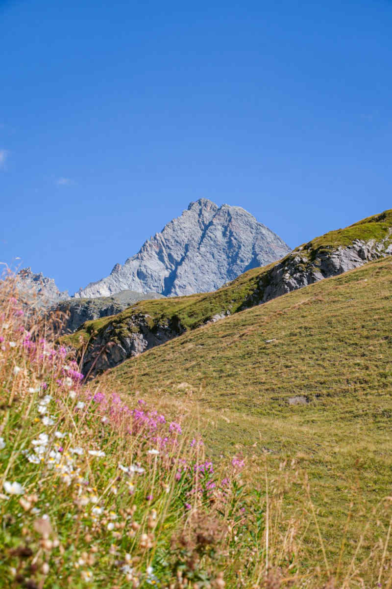Wall Poster - Blossom Orchard in the Austrian Alps