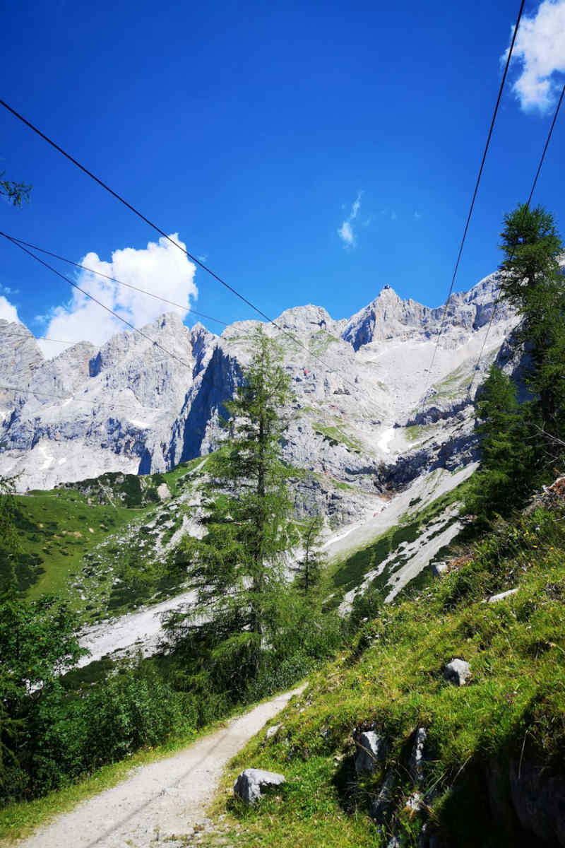 Wall Poster - Boardwalk in the Austrian Alps