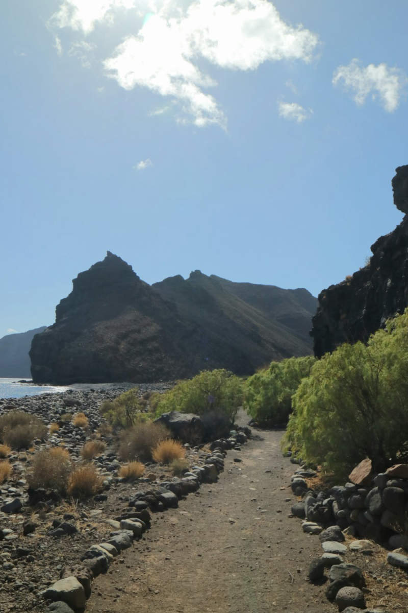 Wall Poster - Boardwalk in the Canary Islands
