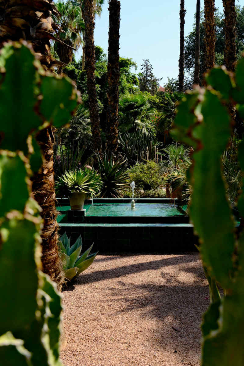 Wall Poster - Botanical Garden in Marrakech