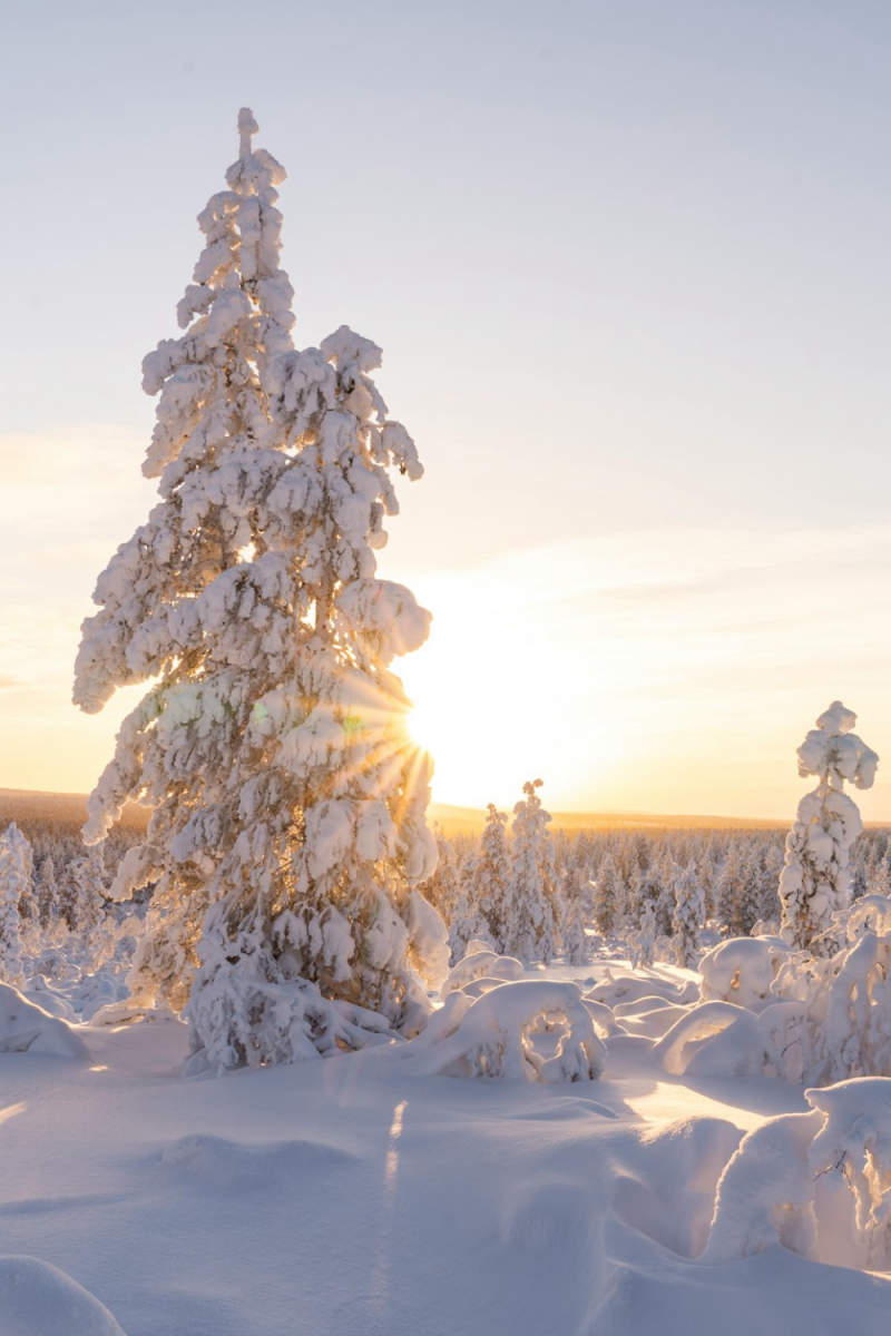 Wall Poster - Castle in Lapland