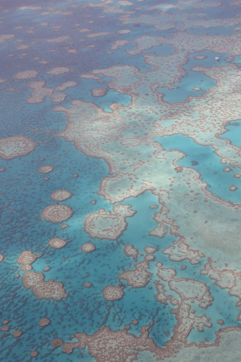 Wall Poster - Chapel in the Great Barrier Reef