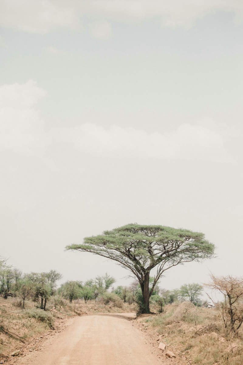 Wall Poster - Chapel in the Serengeti
