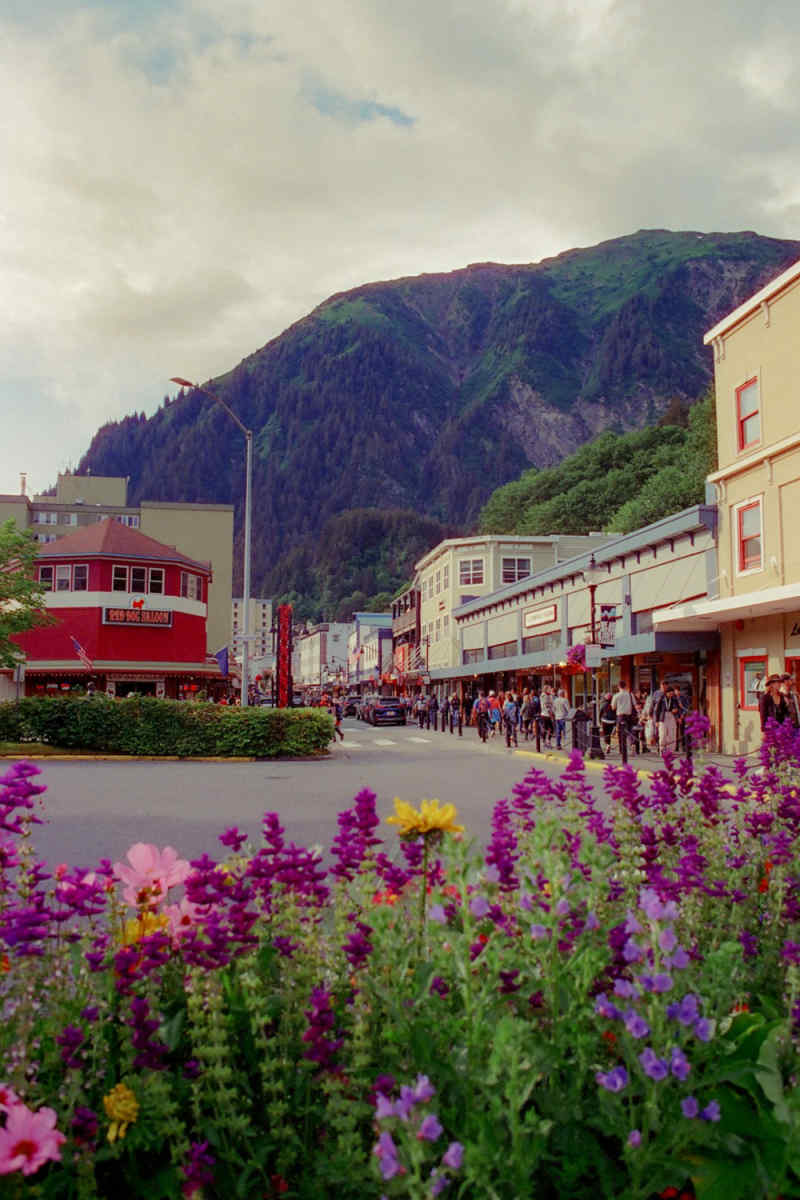 Wall Poster - City Rooftops in Alaska