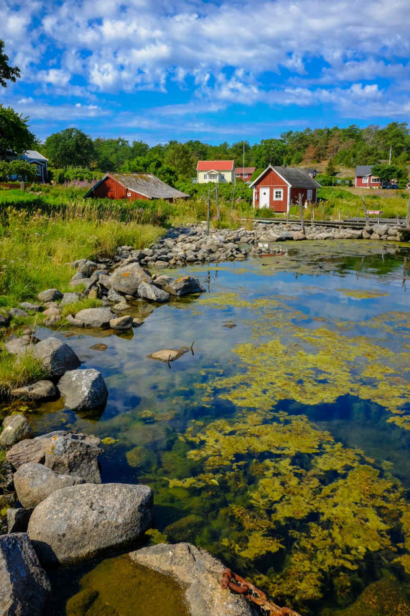 Wall Poster - Coral Reef in Sweden