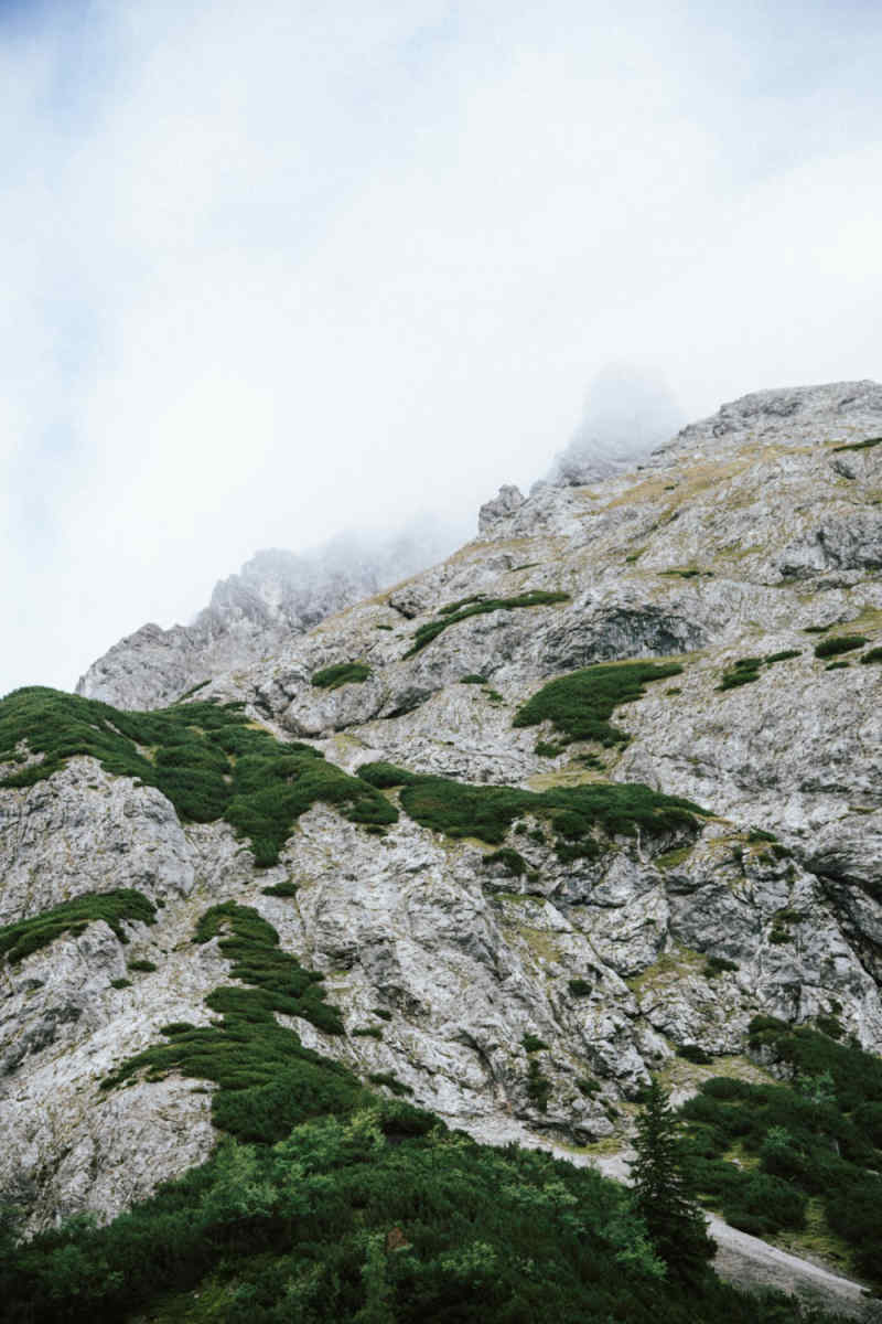 Wall Poster - Coral Reef in the Austrian Alps
