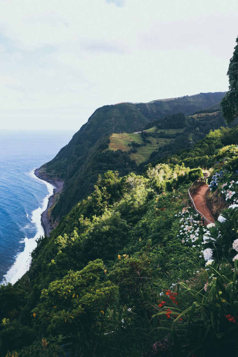 Wall Poster - Coral Reef in the Azores