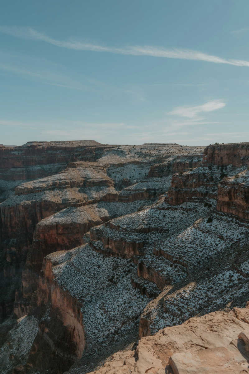 Wall Poster - Coral Reef in the Grand Canyon