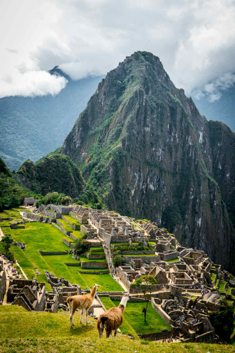Wall Poster - Desert in Machu Picchu