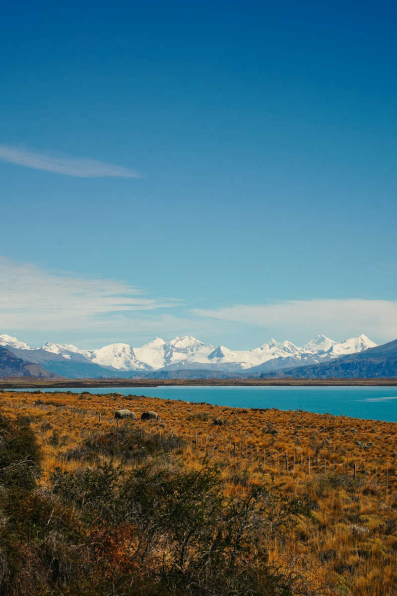 Wall Poster - Desert in Patagonia