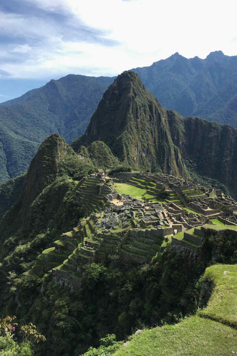 Wall Poster - Forest in Machu Picchu