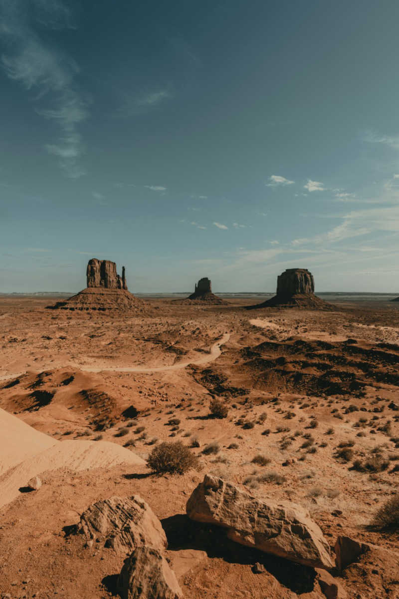 Wall Poster - Forest in Monument Valley
