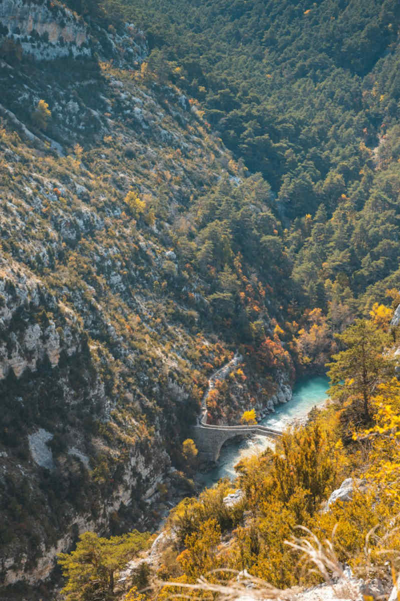 Wall Poster - Forest in Provence