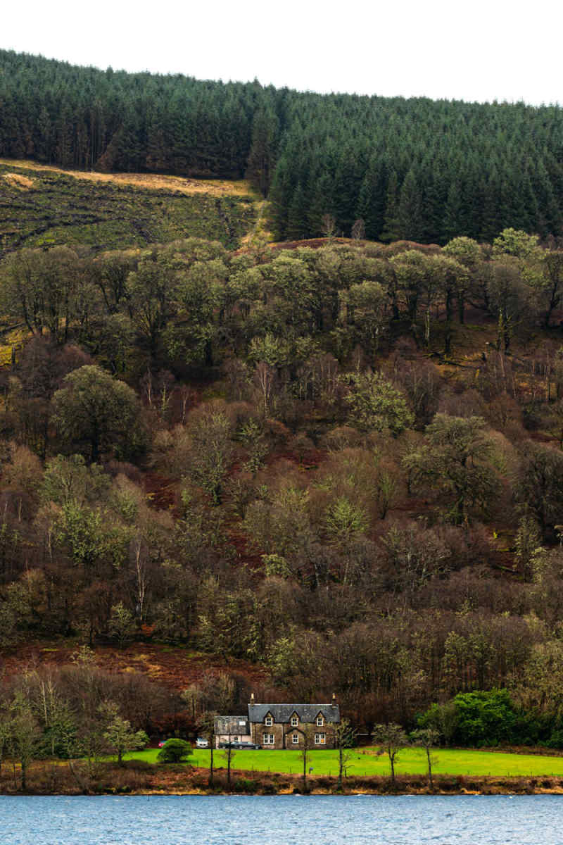Wall Poster - Forest in the Scottish Isles